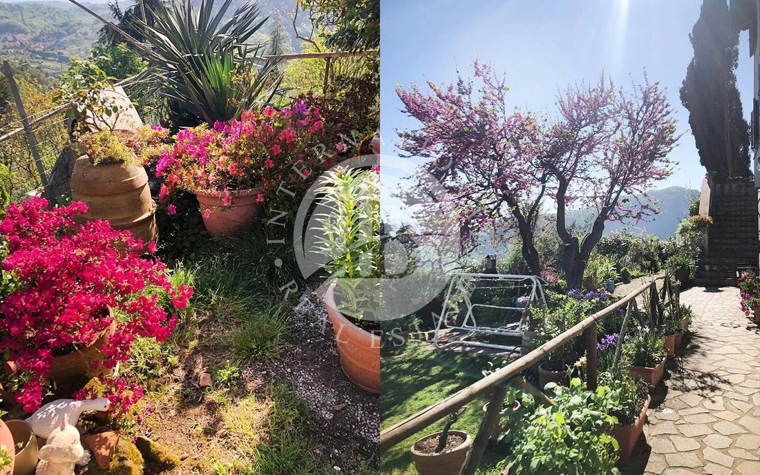 Villa in Historic Center, Lucca, Tuscany 4 - 16079822