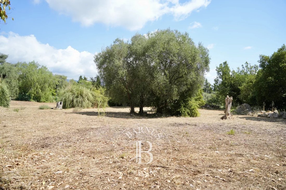 Land in Nord, Roquefort-les-Pins, France 1 - 15369625