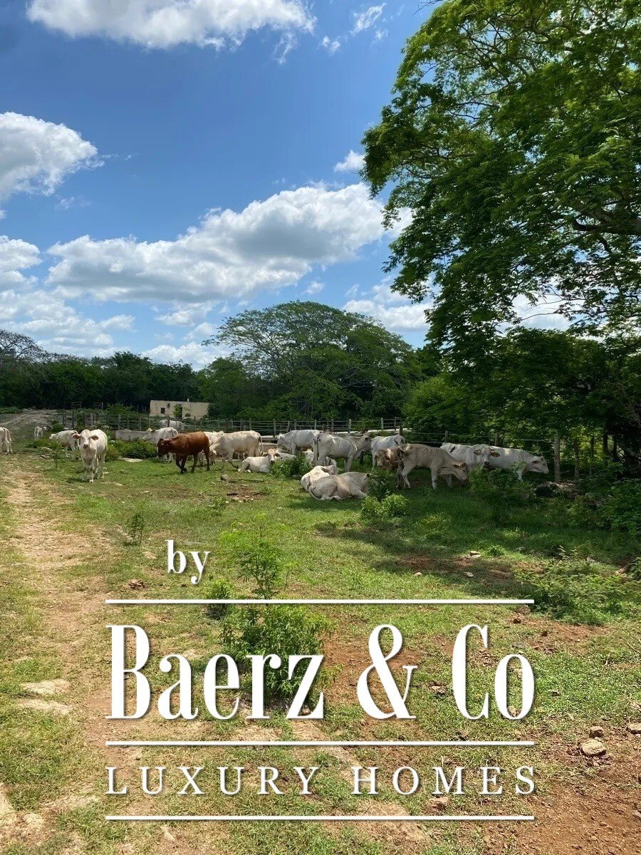 Country House in Izamal, Yucatan, Mexico 1 - 16095907