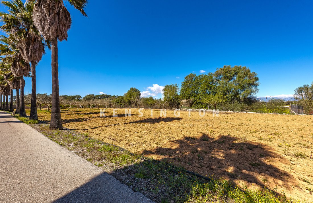 Casa de Campo en Algaida, Islas Baleares, España 5 - 16097957