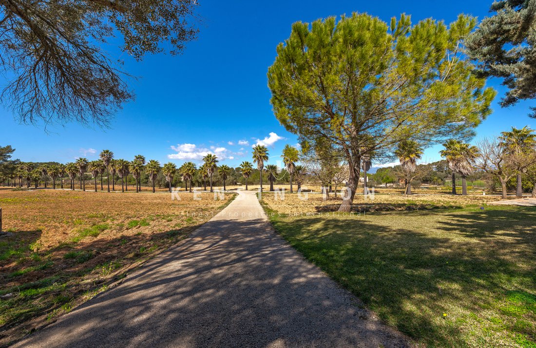 Casa de Campo en Algaida, Islas Baleares, España 4 - 16097957