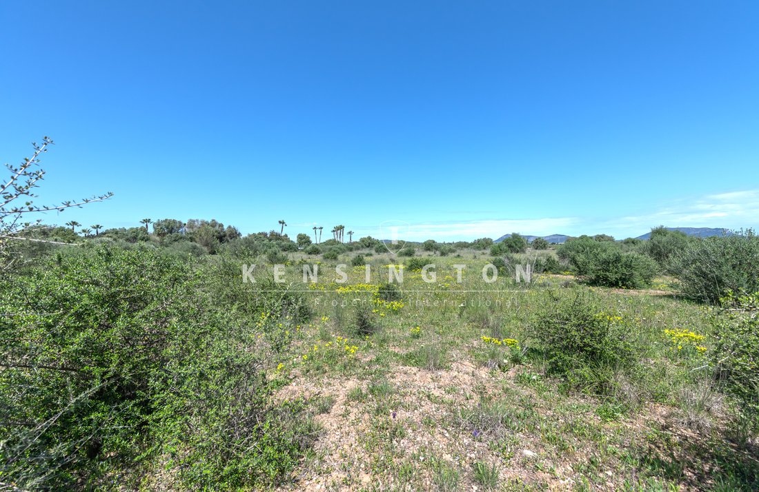 Terreno a Llucmajor, Isole Baleari, Spagna 5 - 16097966