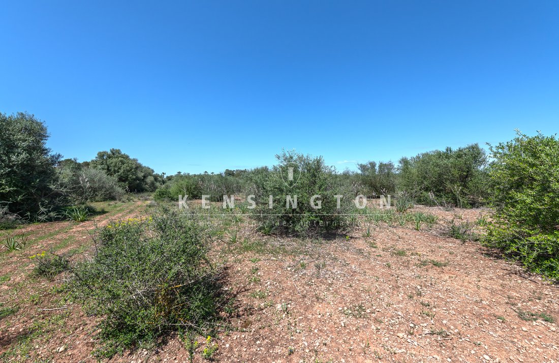 Terreno a Llucmajor, Isole Baleari, Spagna 4 - 16097966