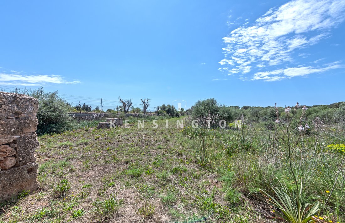 Terreno a Llucmajor, Isole Baleari, Spagna 2 - 16097966