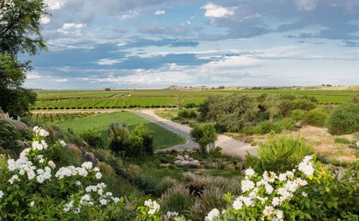Azienda agricola a Upington, Provincia del Capo Settentrionale, Sudafrica 1