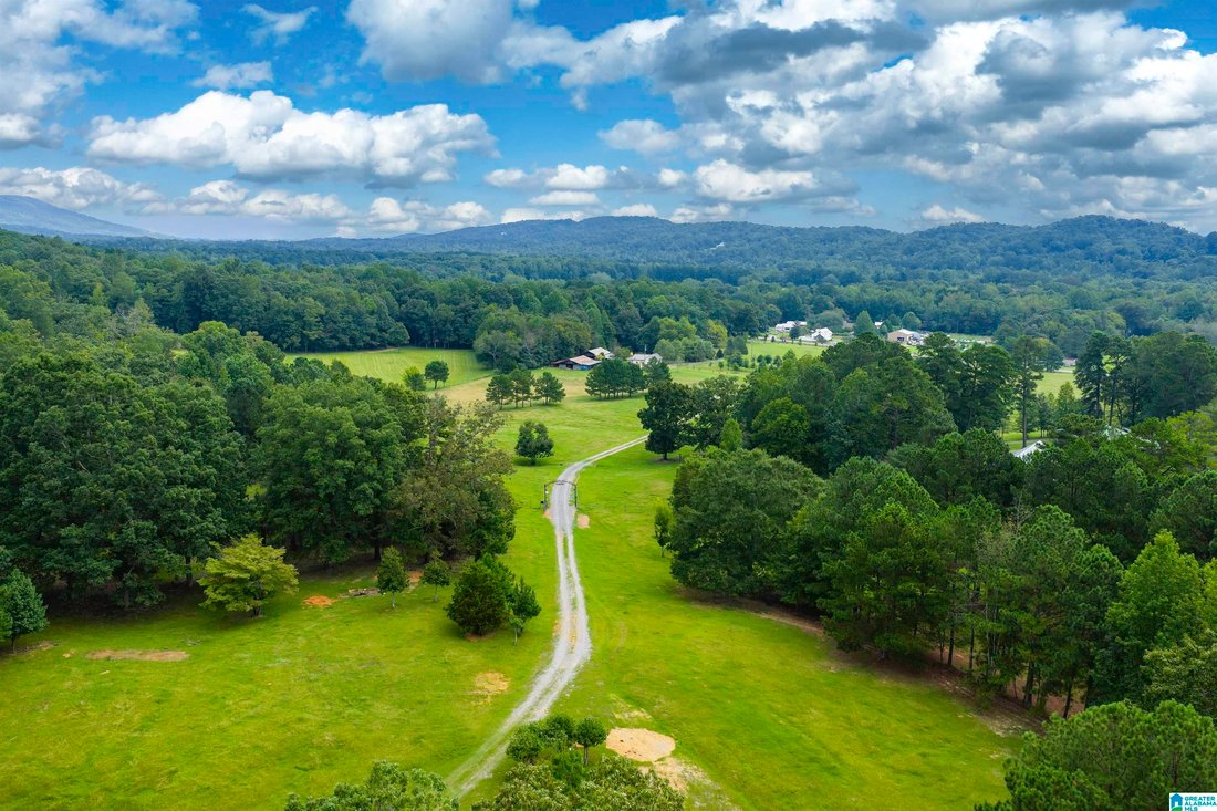 House in Springville, Alabama, United States 1 - 16097237