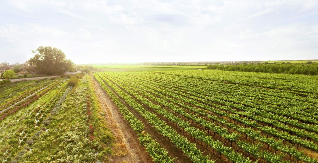 Farm Ranch in ǁKhara Hais Local Municipality, Northern Cape, South Africa 4 - 16096807