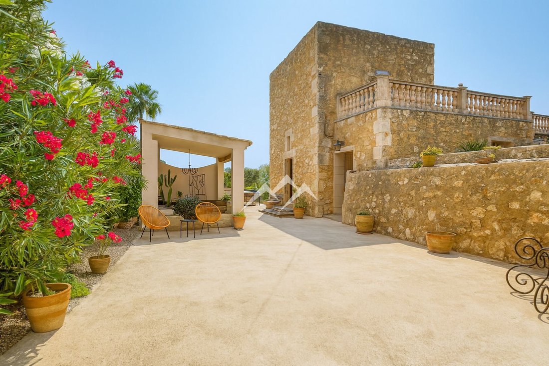 Finca in ses Salines, Balearic Islands, Spain 1 - 16097974