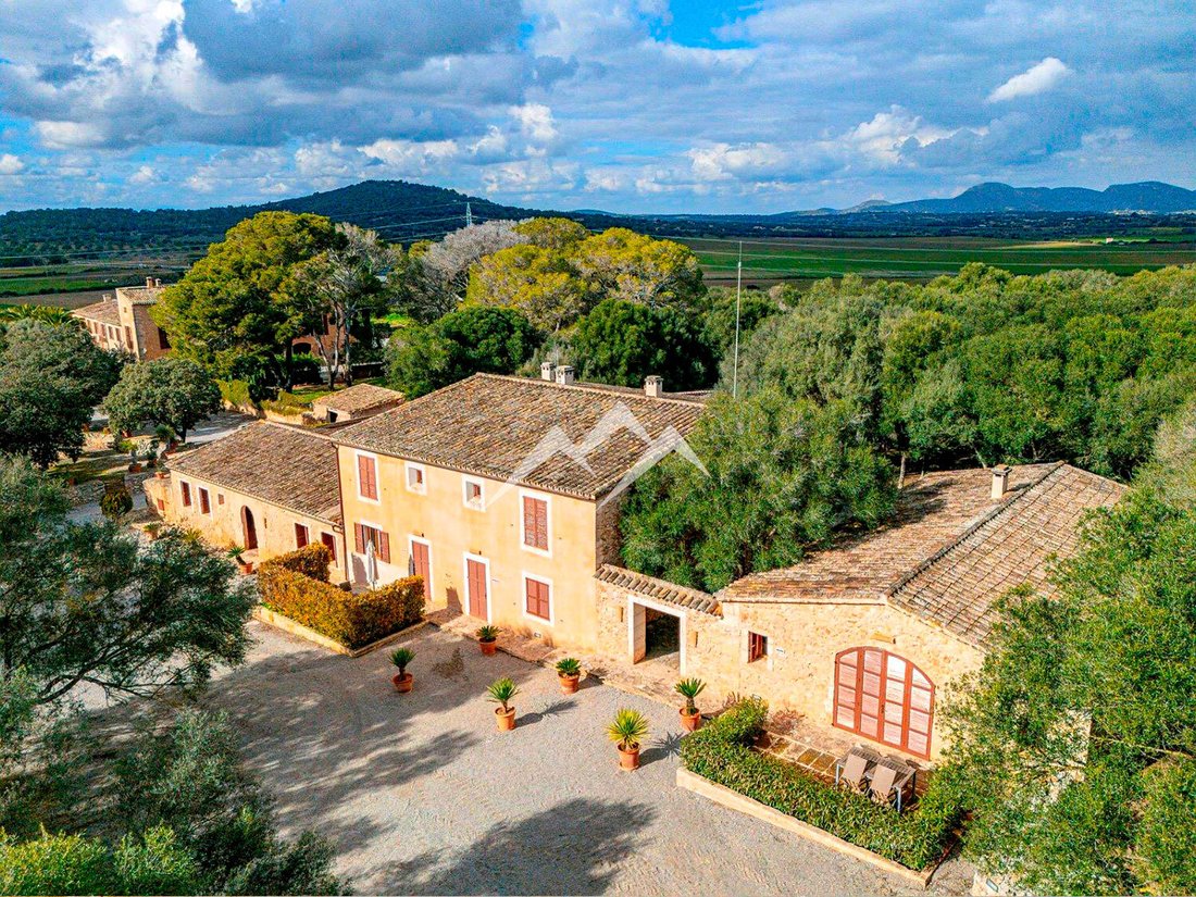 Finca in Manacor, Balearic Islands, Spain 2 - 16097992