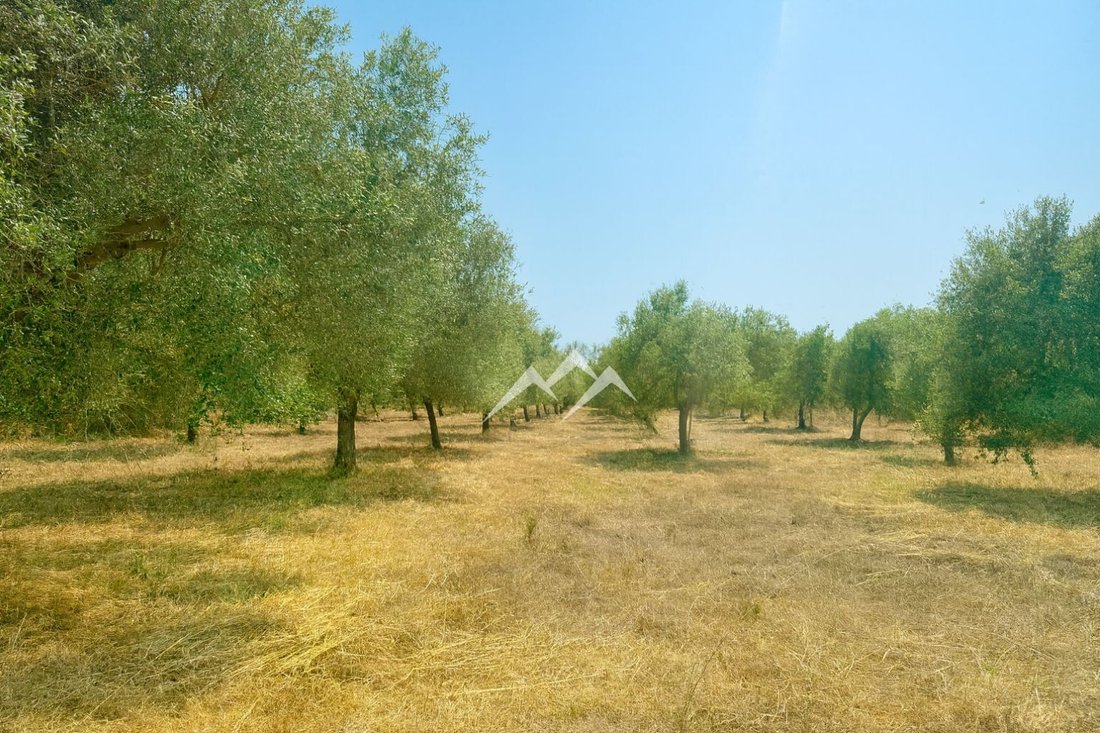 Finca in ses Salines, Balearic Islands, Spain 2 - 16097974
