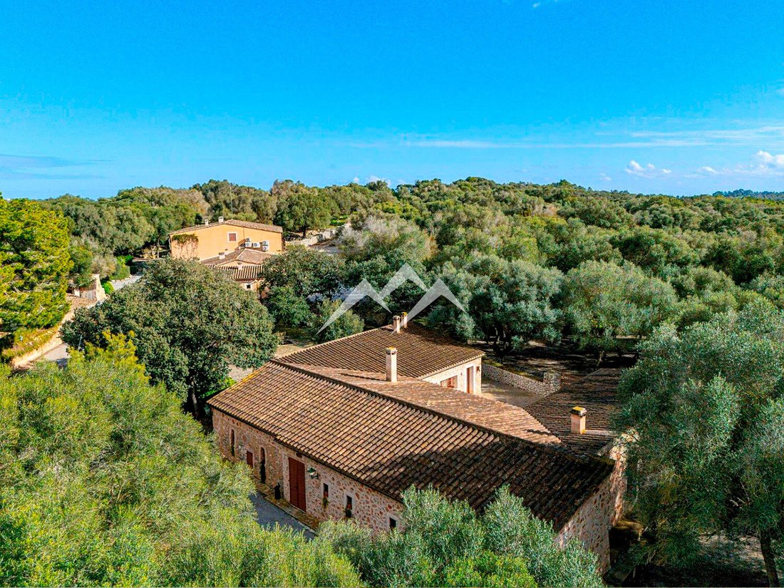 Finca in Manacor, Balearic Islands, Spain 4 - 16097992