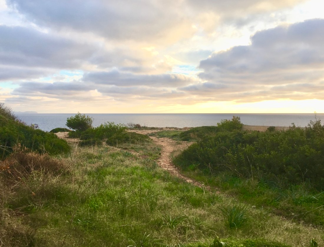 Terreno a Llucmajor, Isole Baleari, Spagna 1 - 16097971