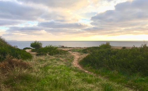 Land in Llucmajor, Balearic Islands, Spain 1