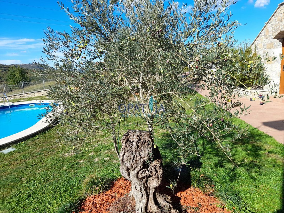 House in Grad Pazin, Istria County, Croatia 4 - 16098650