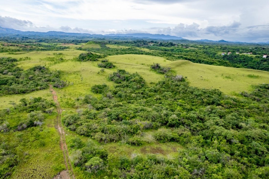Land in San Carlos District, Panama, Panama 4 - 16098443