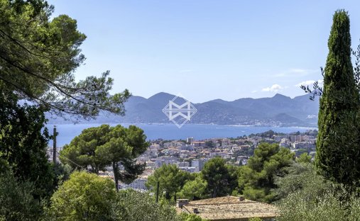 Land in Cannes, Provence-Alpes-Côte d'Azur, France 1