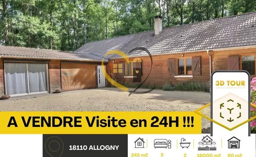 Castle for Sale in Allogny, Centre-Val de Loire, France