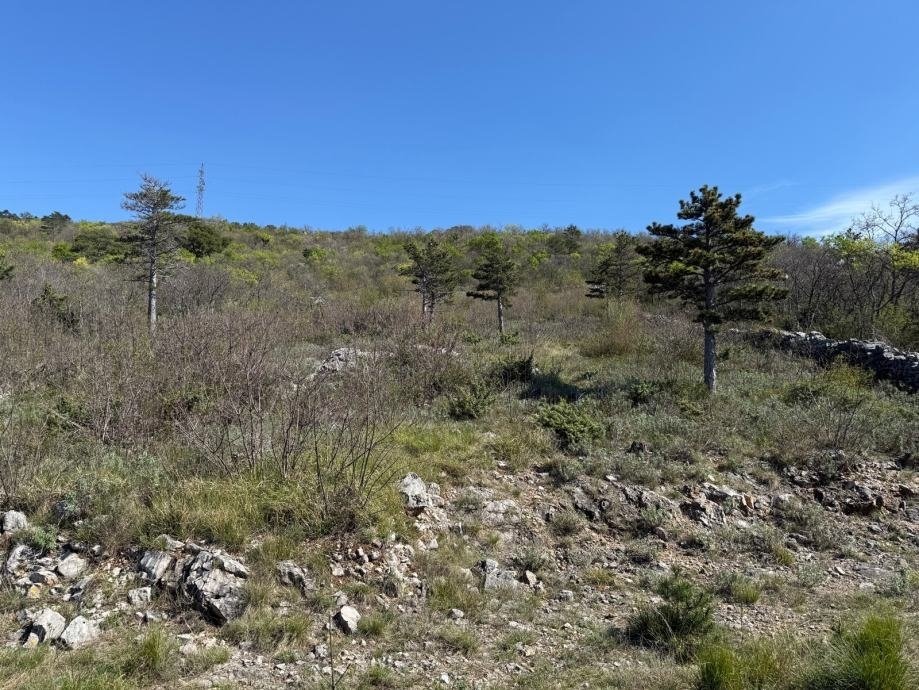 Land in Grad Crikvenica, Primorje-Gorski Kotar County, Croatia 1 - 16098056