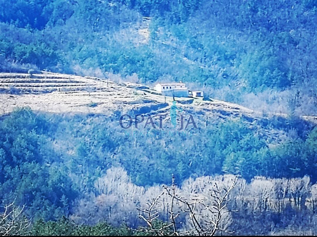 Land in Boljun, Istria County, Croatia 1 - 15694720