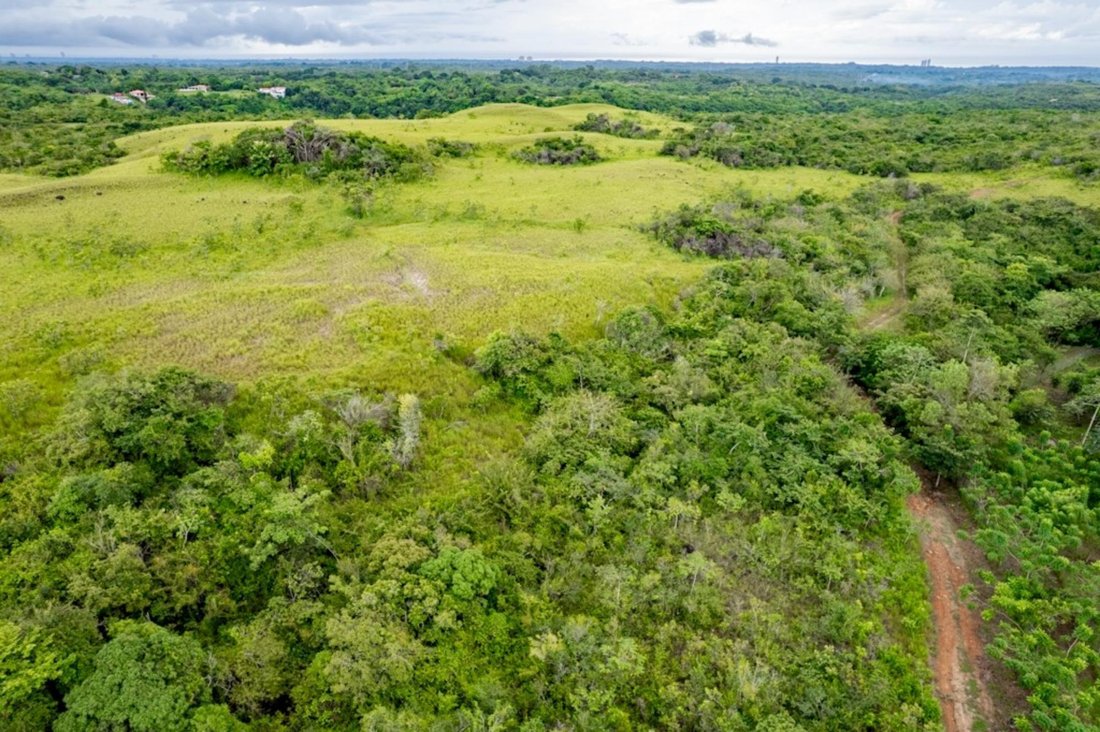 Land in San Carlos District, Panama, Panama 5 - 16098443