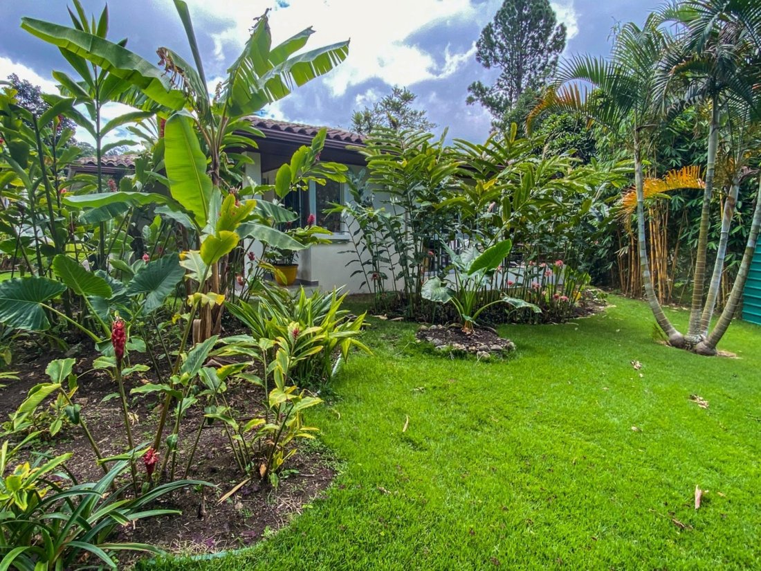 House in Los Naranjos, Chiriquí Province, Panama 4 - 16098431