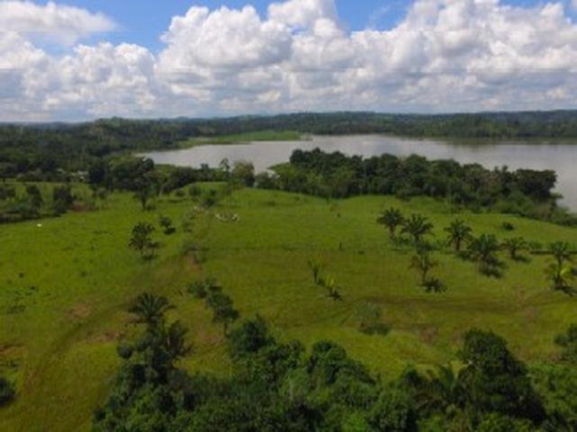 Finca in Pueblo Nuevo, Provincia de Panamá Oeste, Panama 4 - 16098306