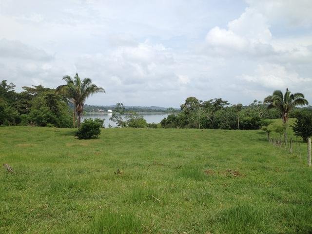 Finca in Pueblo Nuevo, Provincia de Panamá Oeste, Panama 3 - 16098306