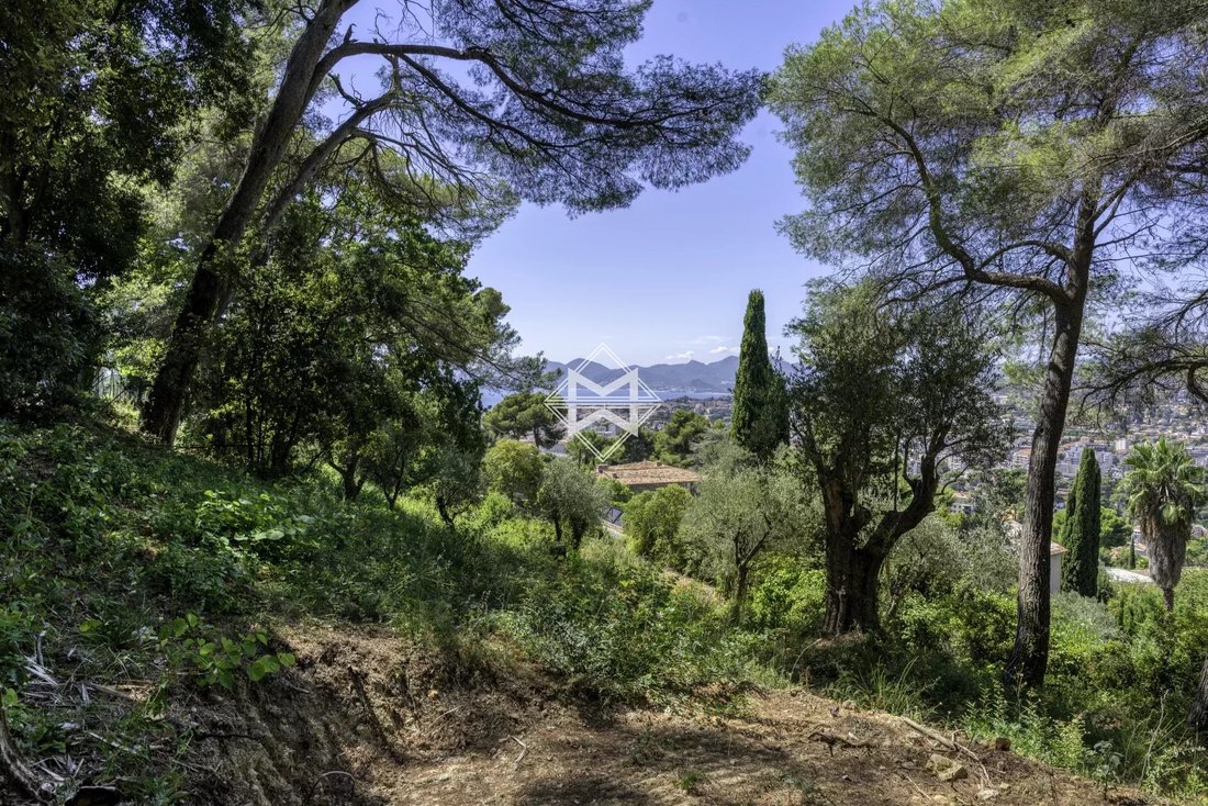 Land in Cannes, Provence-Alpes-Côte d'Azur, France 5 - 16026582