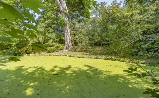 Sale Manor 735 M² 17 Rooms