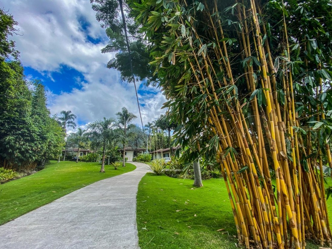 House in Los Naranjos, Chiriquí Province, Panama 3 - 16098431