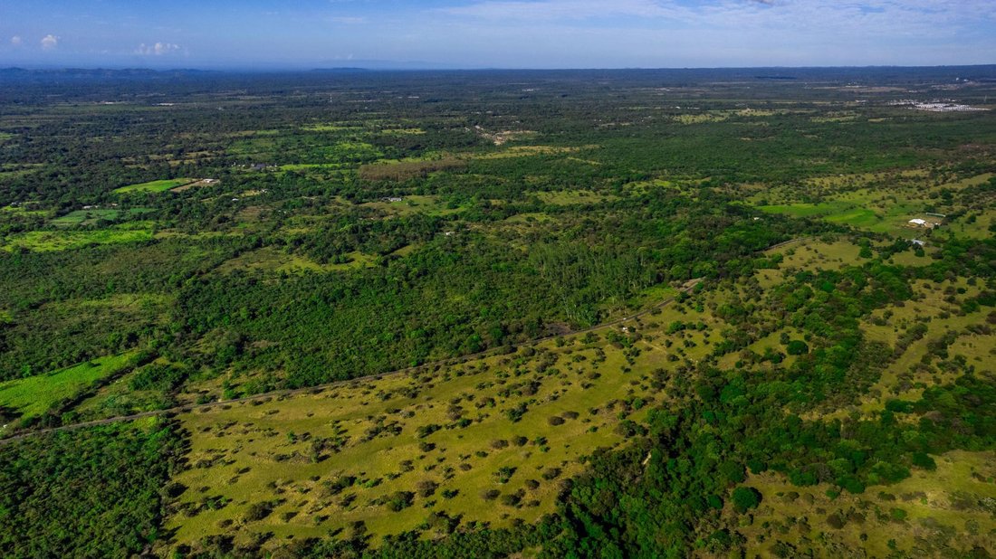 Finca in Caldera, Chiriquí Province, Panama 3 - 16098514