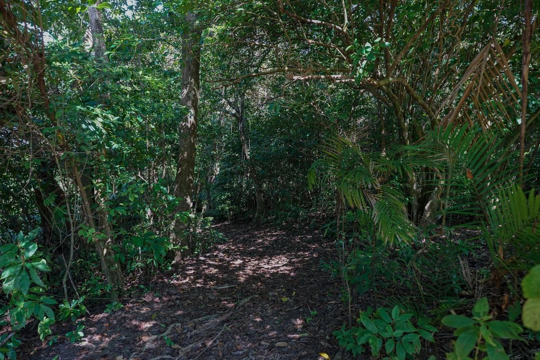 House in Boca Chica, Chiriquí Province, Panama 5 - 16098578