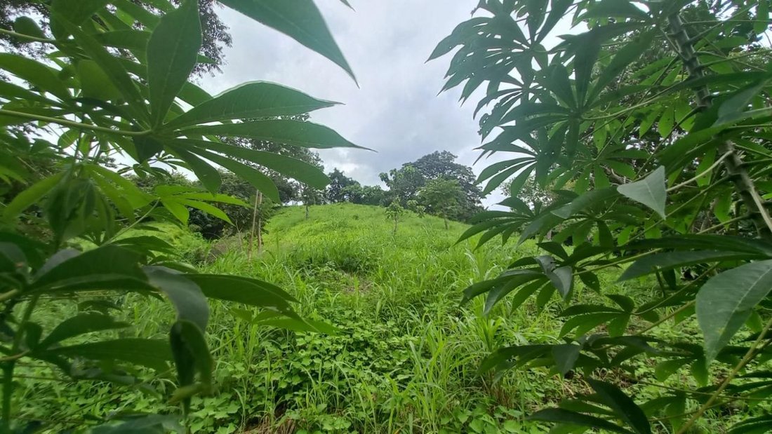 Land in Cambutal, Los Santos Province, Panama 3 - 16098550