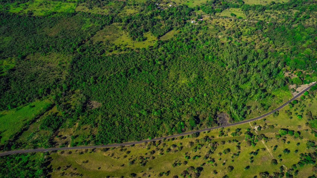 Finca in Caldera, Chiriquí Province, Panama 5 - 16098514