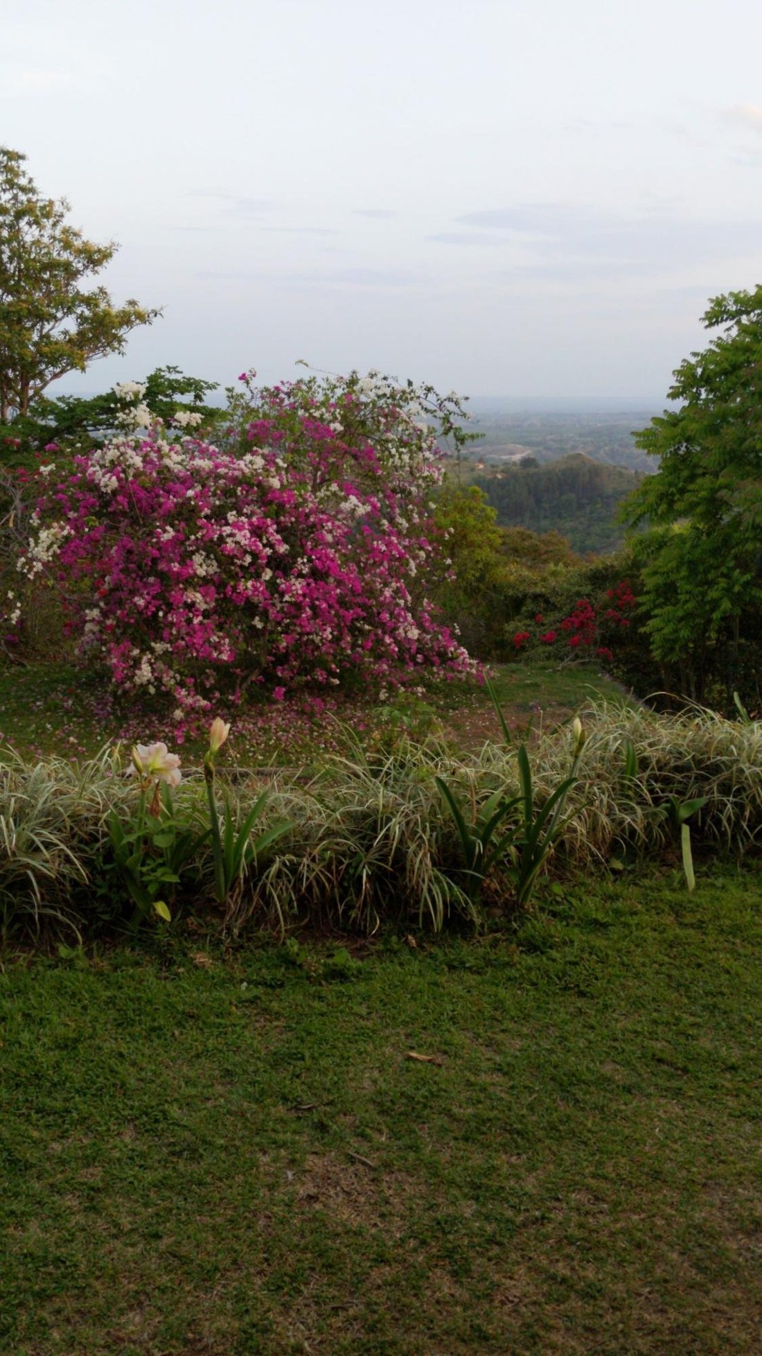 Finca in San Carlos District, Panama, Panama 5 - 16098402