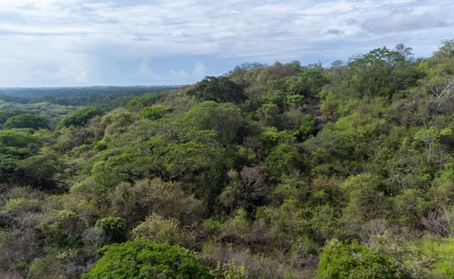 Terreno a Las Tablas, Distretto di Los Santos, Panamá 1