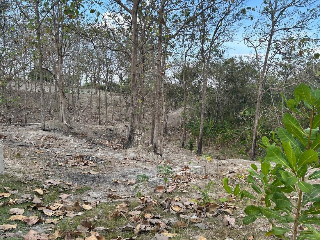Land in San Carlos District, Panama, Panama 2 - 16098239