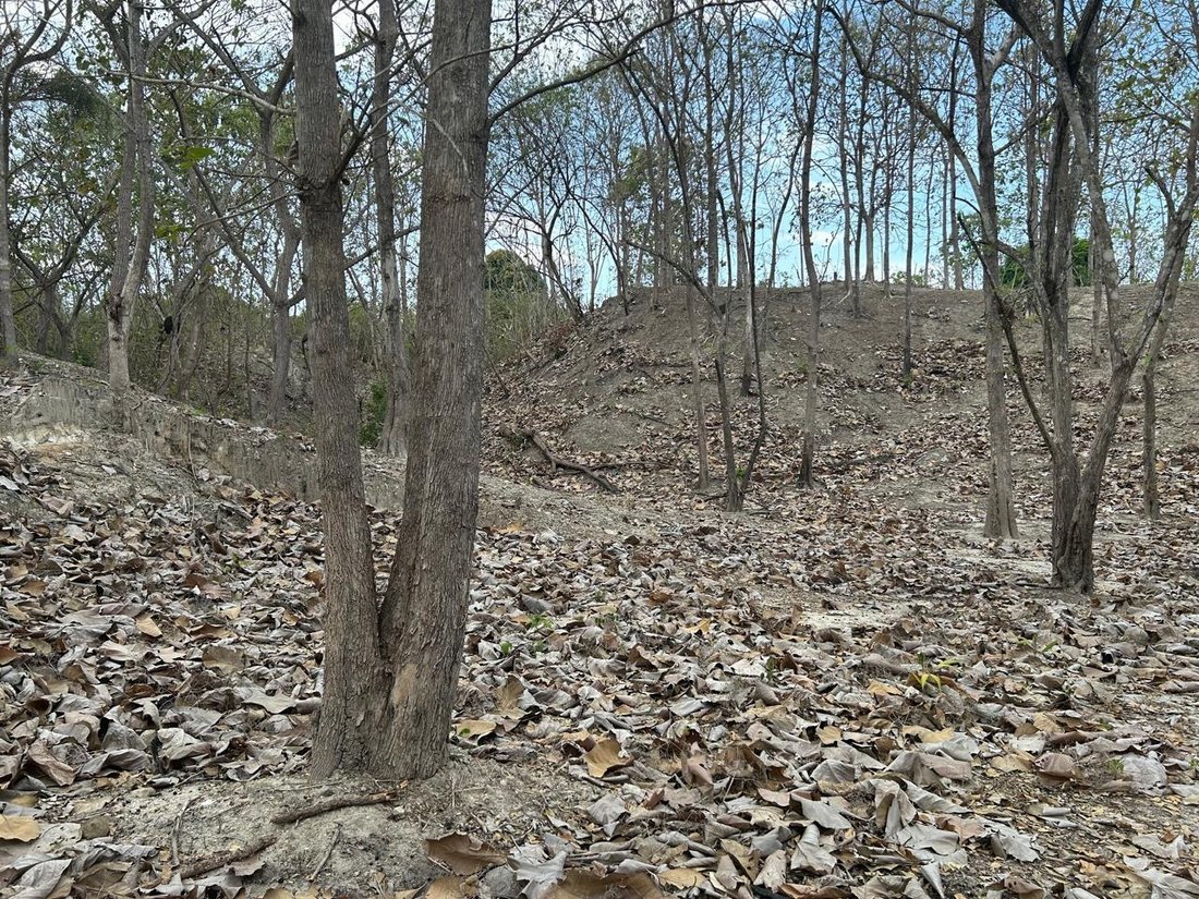 Land in San Carlos District, Panama, Panama 3 - 16098239