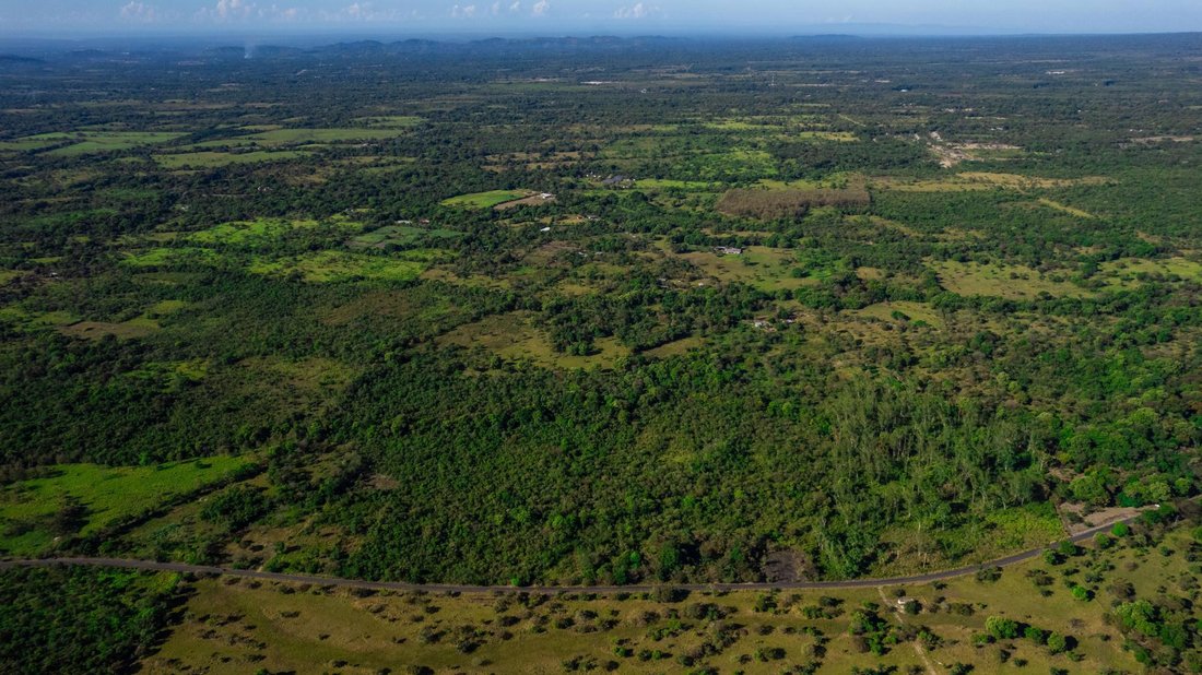 Finca in Caldera, Chiriquí Province, Panama 4 - 16098514