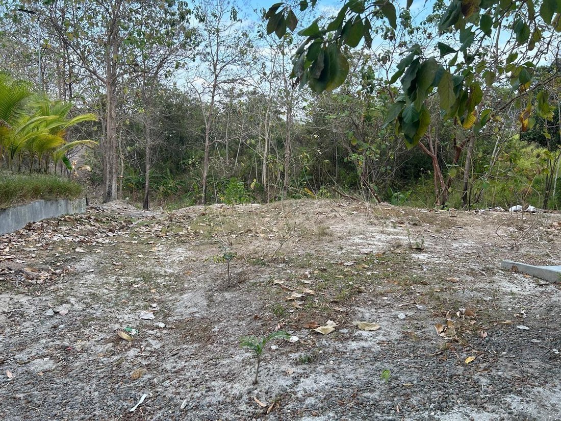 Land in San Carlos District, Panama, Panama 1 - 16098239