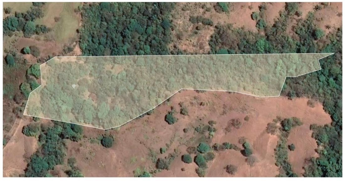 Land in Cambutal, Los Santos Province, Panama 2 - 16098550