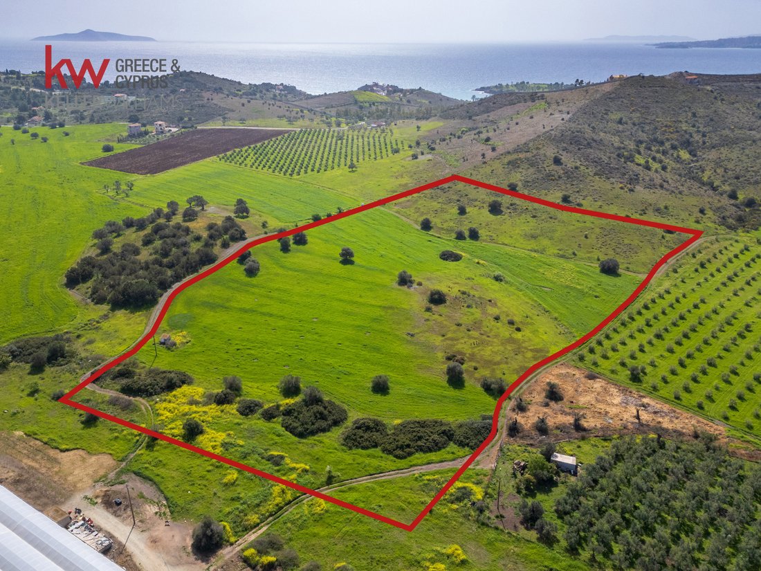 Land in Ermioni, Peloponnese, Western Greece and the Ionian, Greece 1 - 16101926
