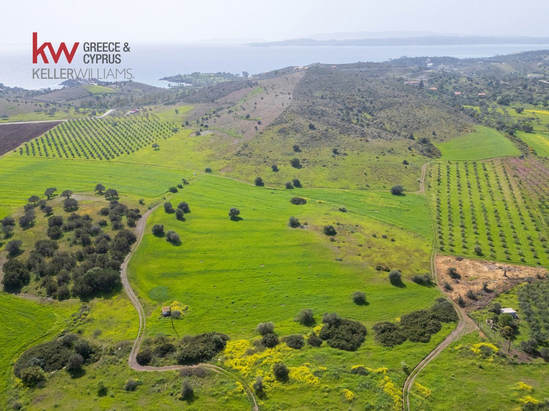Land in Ermioni, Peloponnese, Western Greece and the Ionian, Greece 5 - 16101926
