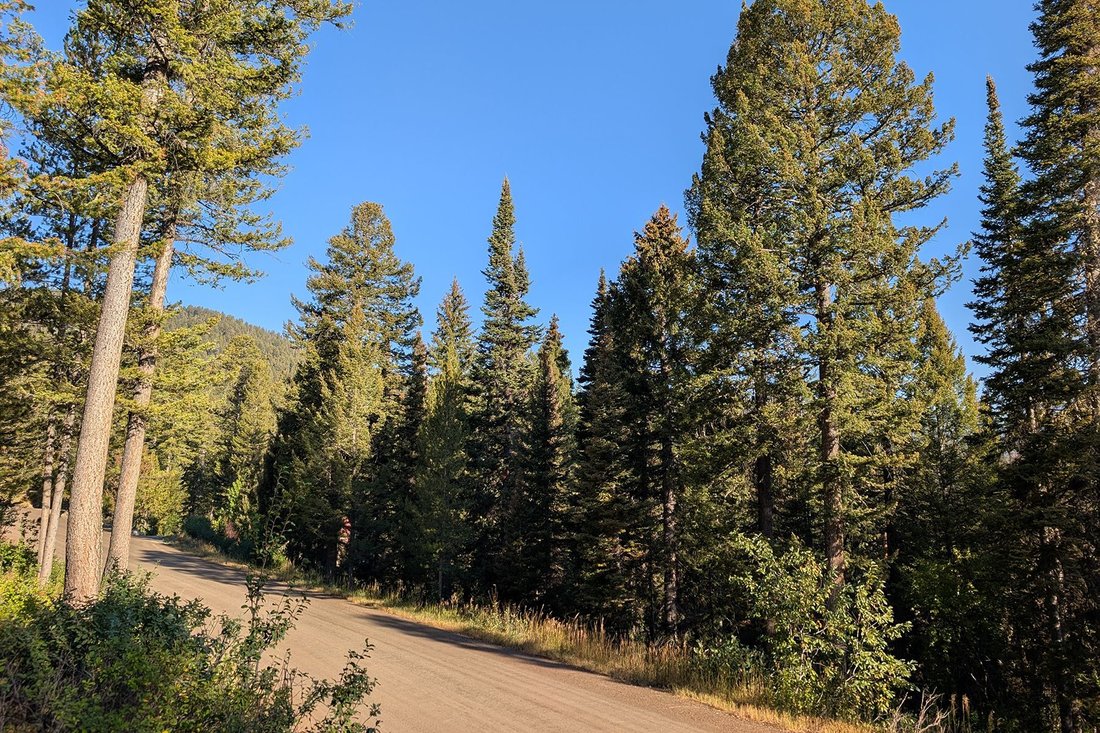 Land in Wilson, Wyoming, United States 5 - 16100709