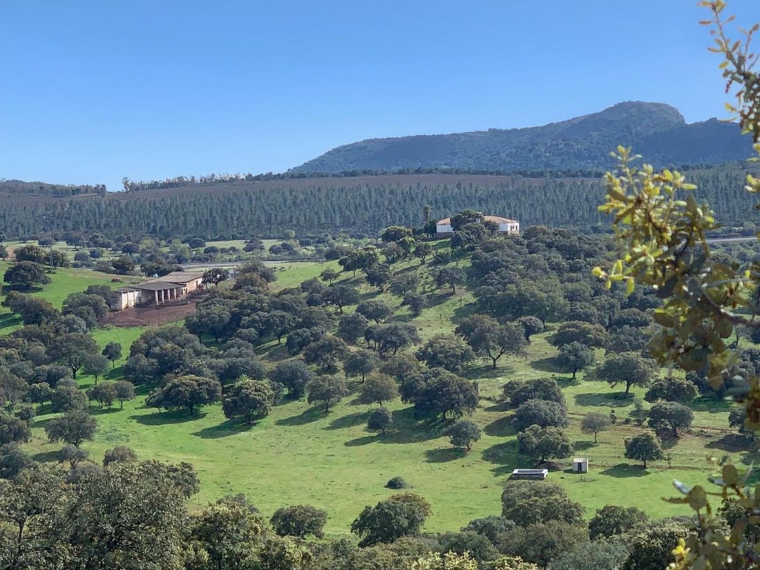 Terrain à Garbayuela, Estrémadure, Espagne 1 - 16101167