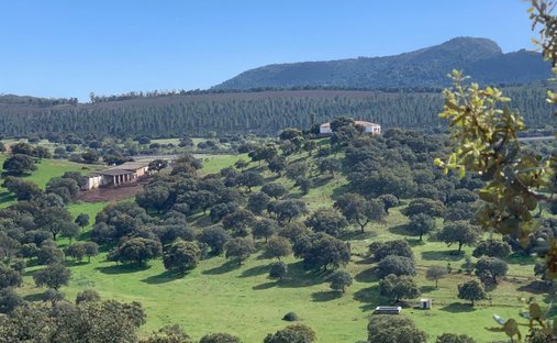 Terrain à Garbayuela, Estrémadure, Espagne 1