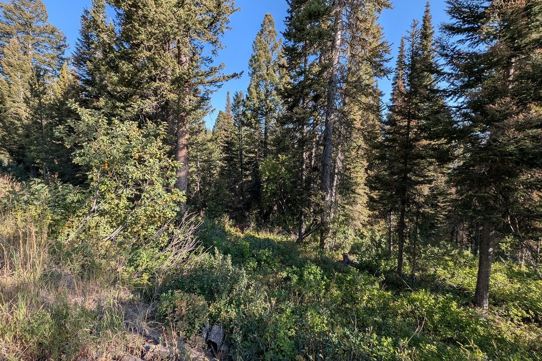 Land in Wilson, Wyoming, United States 4 - 16100709