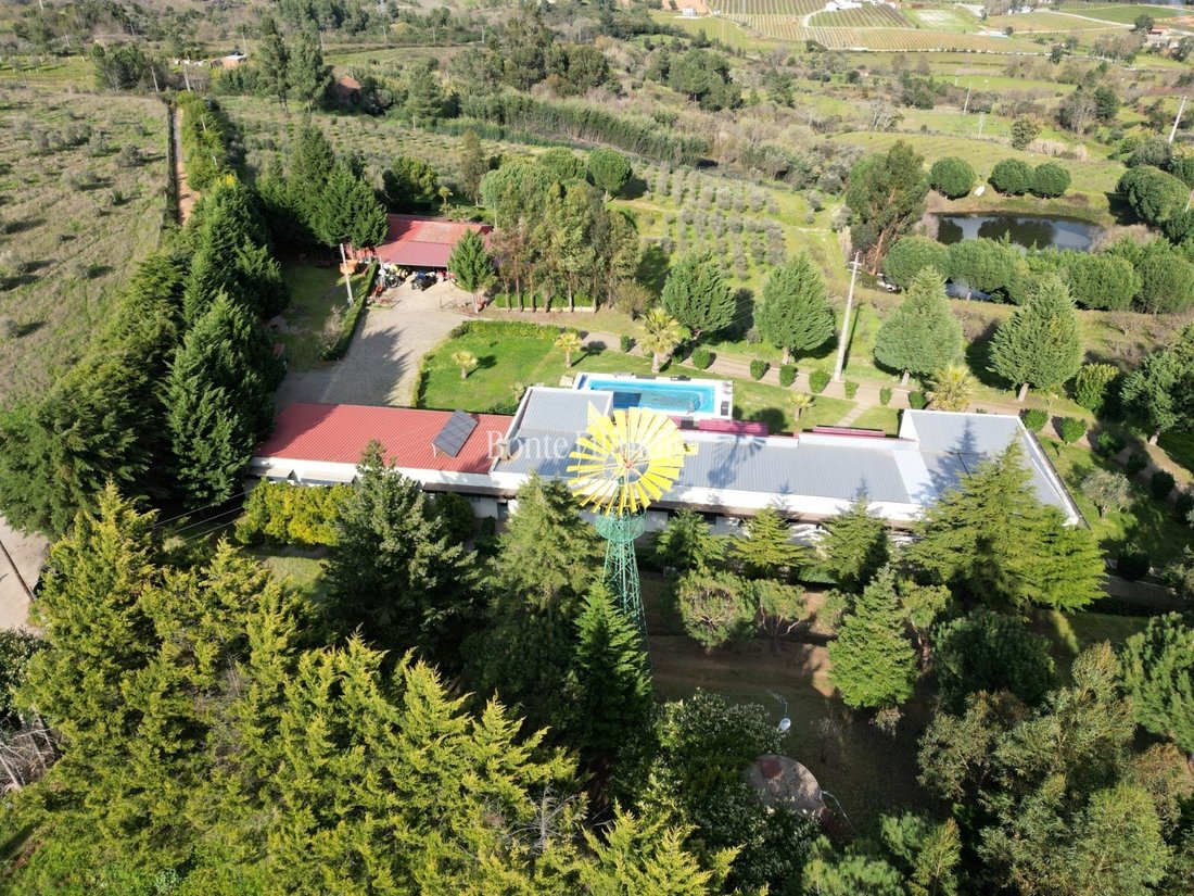 Farm Ranch in Tortosendo, Castelo Branco District, Portugal 3 - 16100615