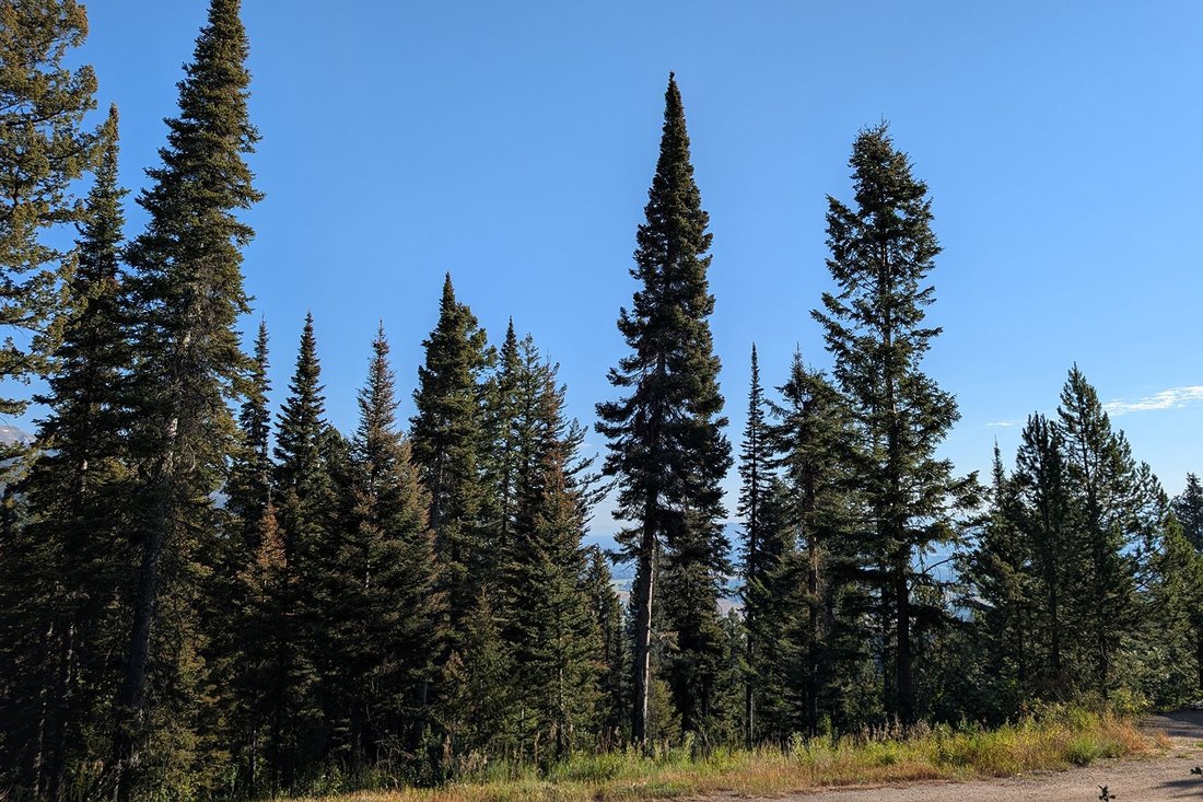 Land in Wilson, Wyoming, United States 3 - 16100709