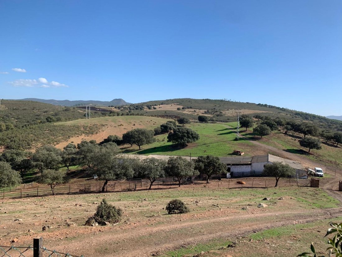 Terrain à Garbayuela, Estrémadure, Espagne 5 - 16101167